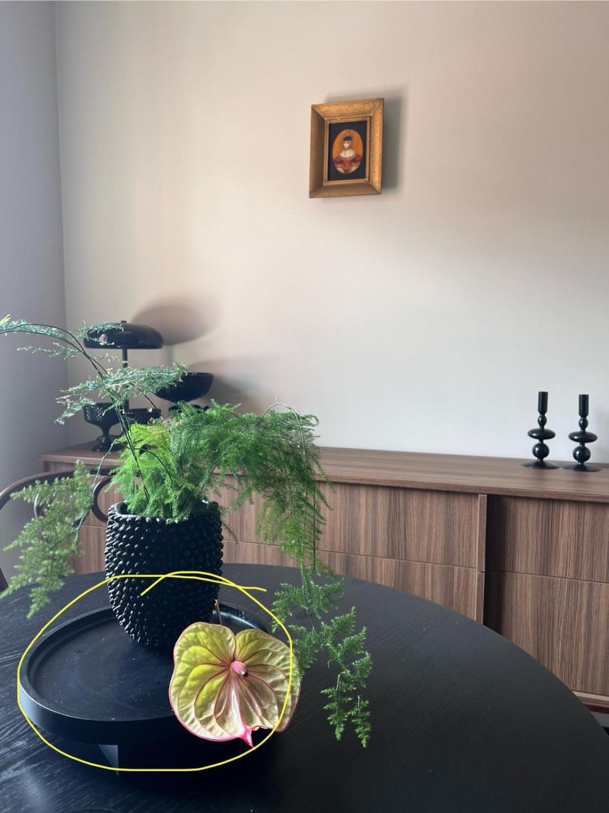 Entu Apartamenty Odrzanska Wroclaw Luaran gambar